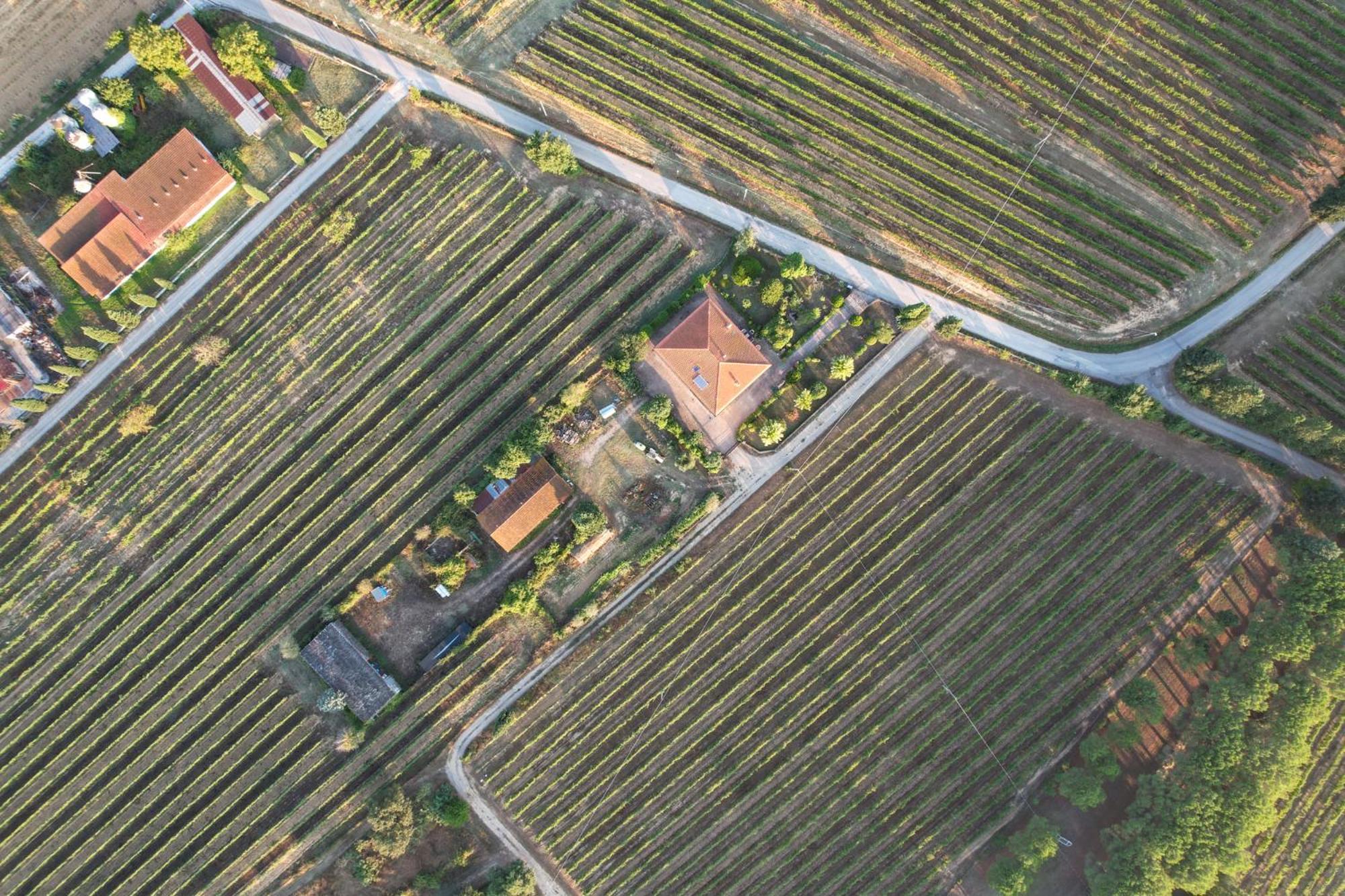 Cappannelle Country House Tuscany Кастилион Фибоки Екстериор снимка
