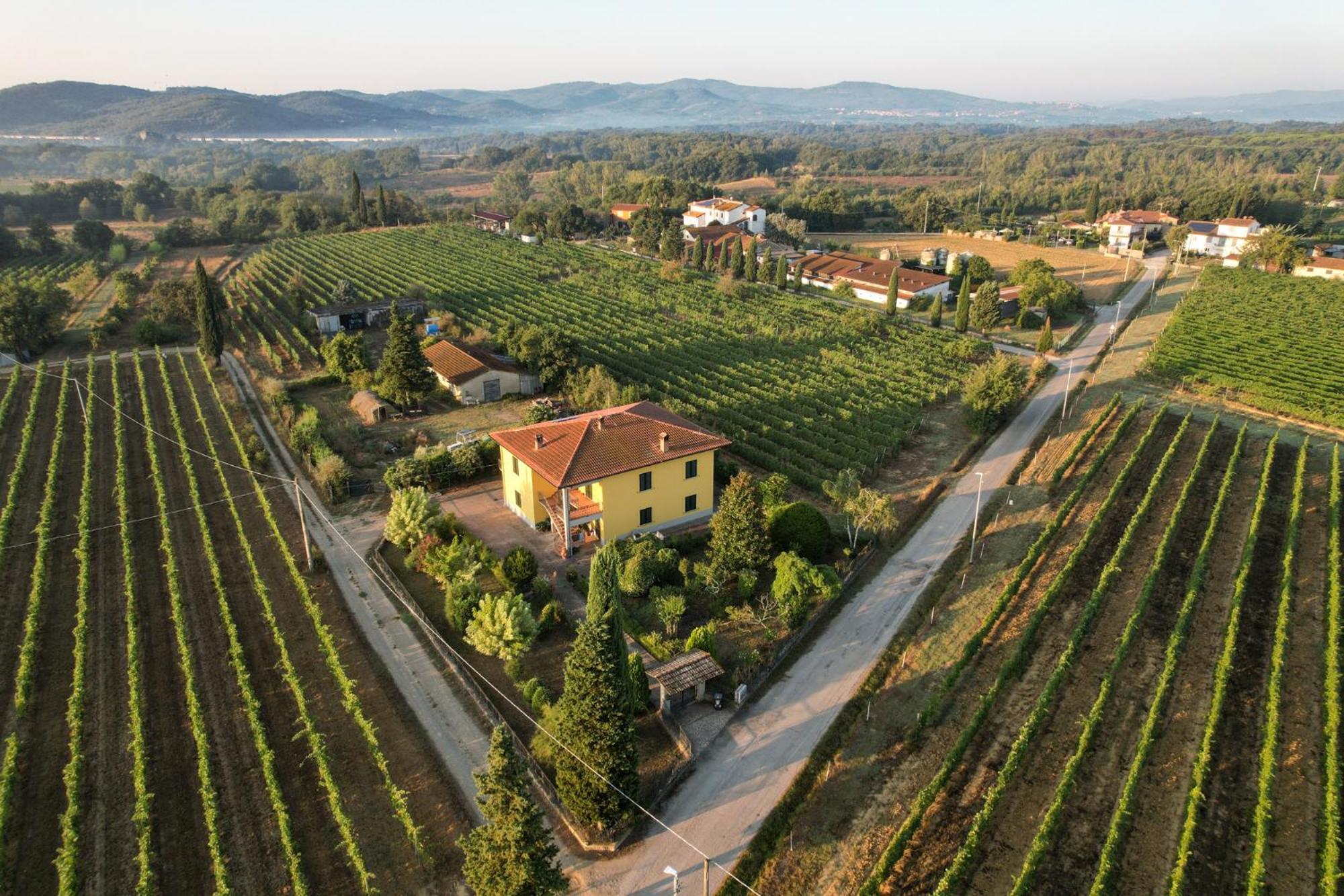 Cappannelle Country House Tuscany Кастилион Фибоки Екстериор снимка