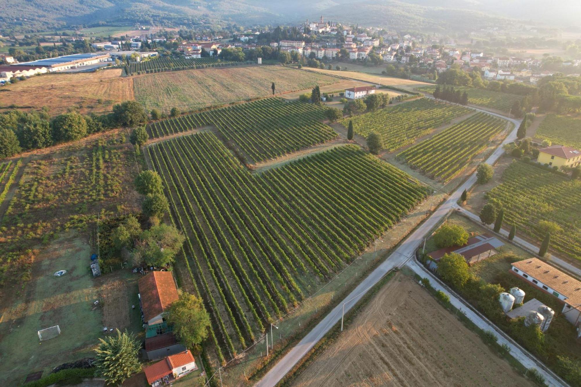 Cappannelle Country House Tuscany Кастилион Фибоки Екстериор снимка