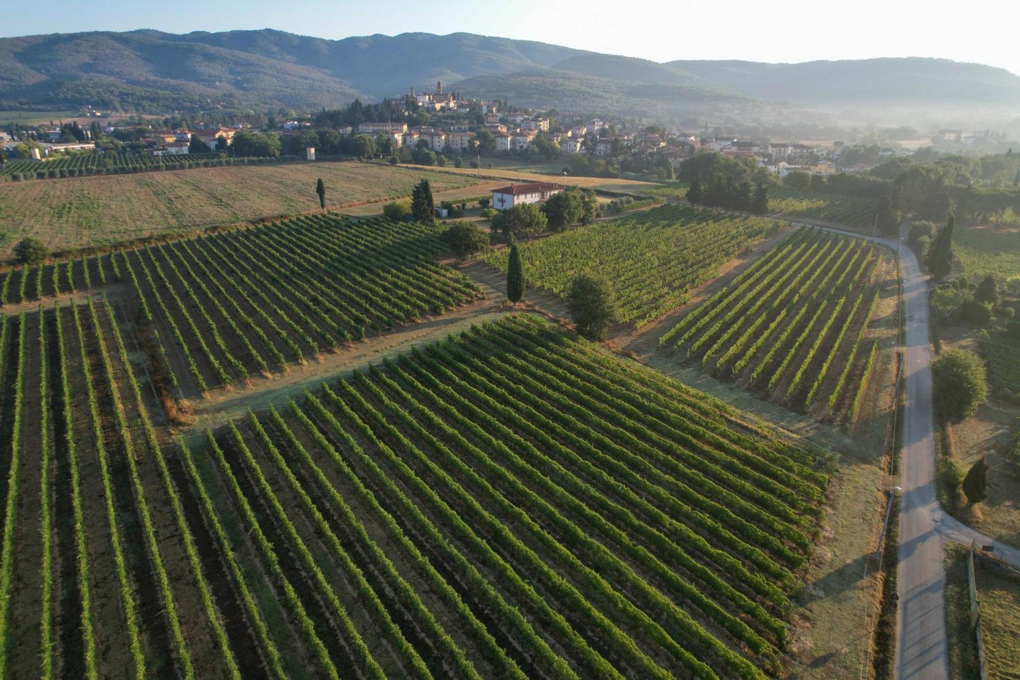 Cappannelle Country House Tuscany Кастилион Фибоки Екстериор снимка