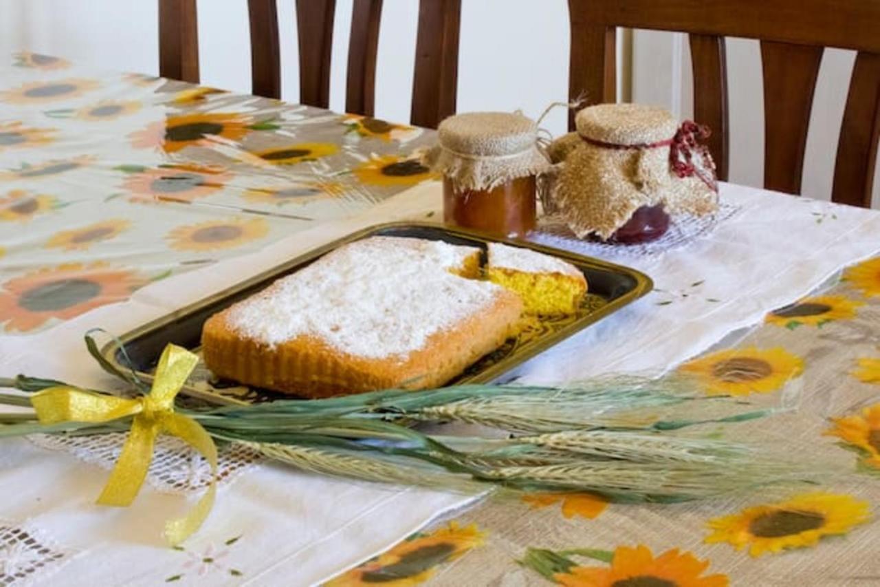 Cappannelle Country House Tuscany Кастилион Фибоки Екстериор снимка